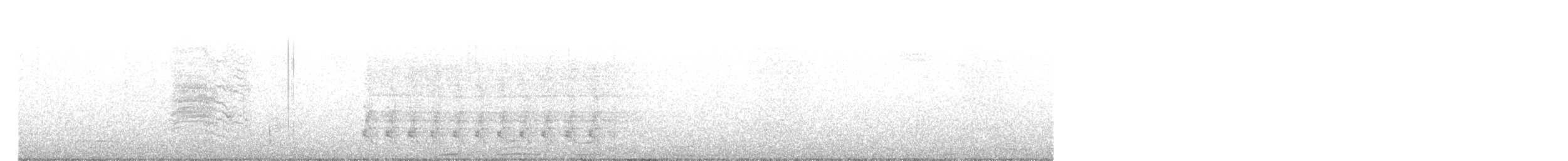 Тауї плямистий - ML470587151