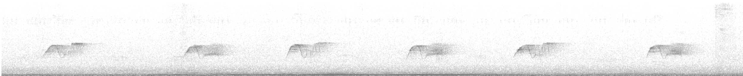 Светлобрюхий фиби - ML470597301