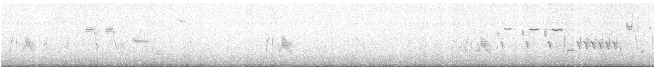 tyranovec vrbový - ML470718291