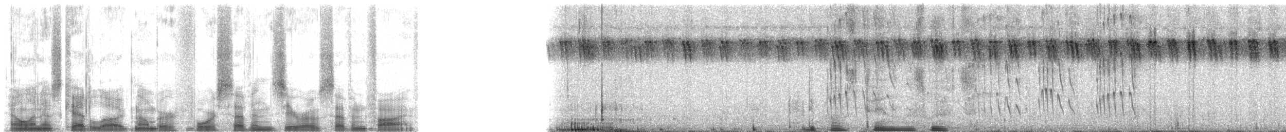 flaggermusseiler - ML47075