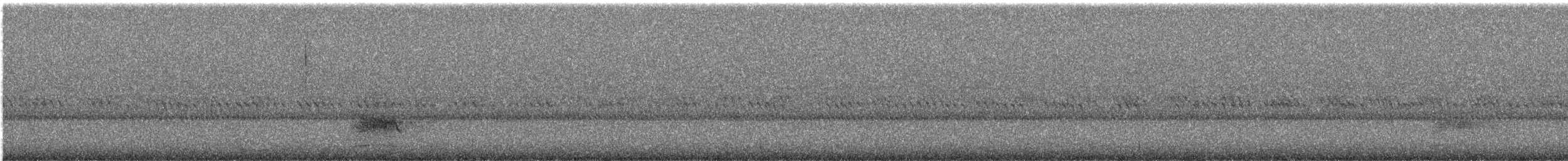 Gaueko harraparia sp. (Strigiforme sp.) - ML470763491