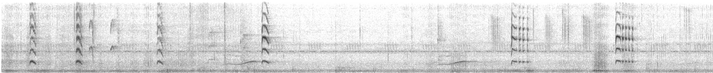 Colibri rubis-émeraude - ML470768471