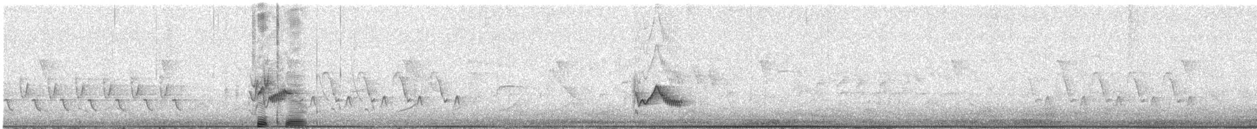 solitary vireo sp. - ML470802461