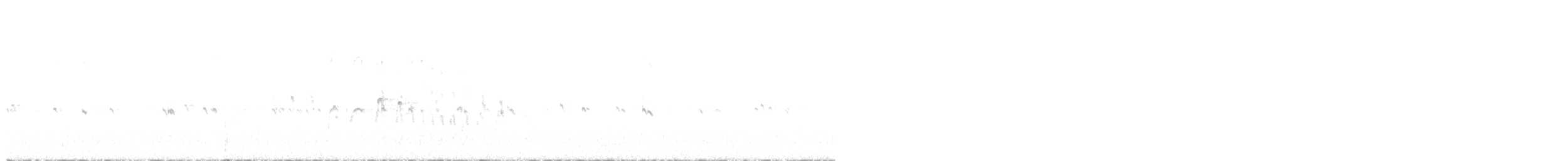 シロハラアマツバメ - ML470809281