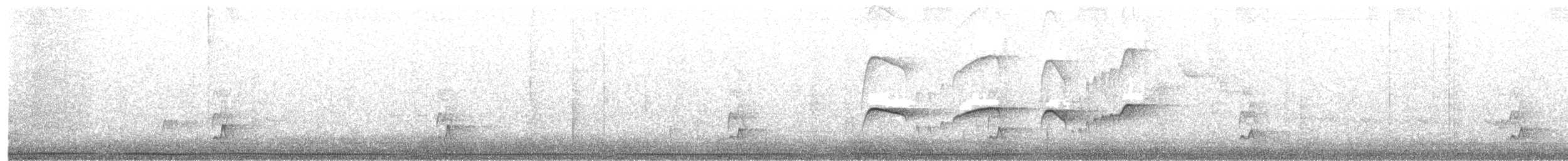 Atlantik Karınca Tiranı - ML470929491