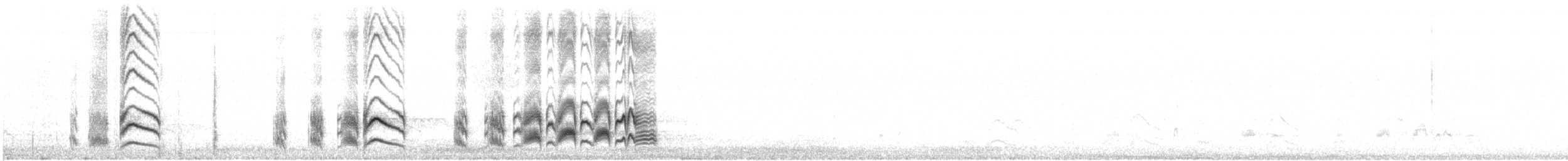 Серогрудый тиранн - ML470951821