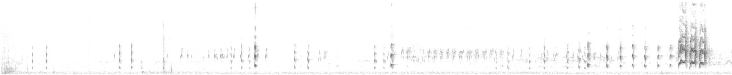 Western Kingbird - ML470951881