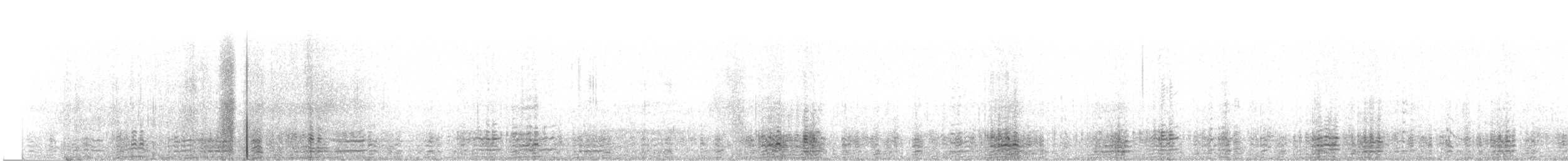 berneška tmavá (ssp. hrota) - ML47099701
