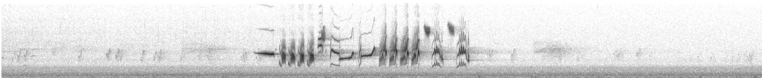 rehek zahradní - ML471047051