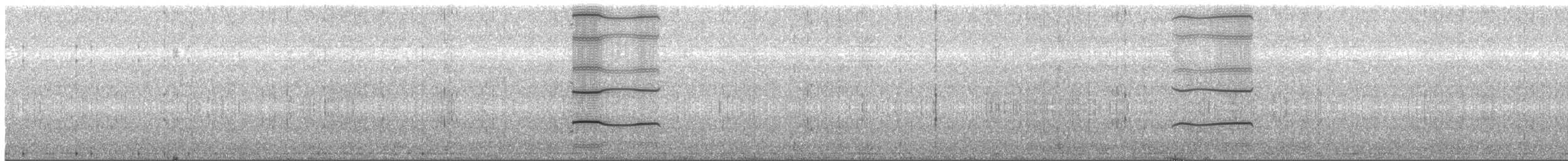 Pluvier argenté - ML471062251