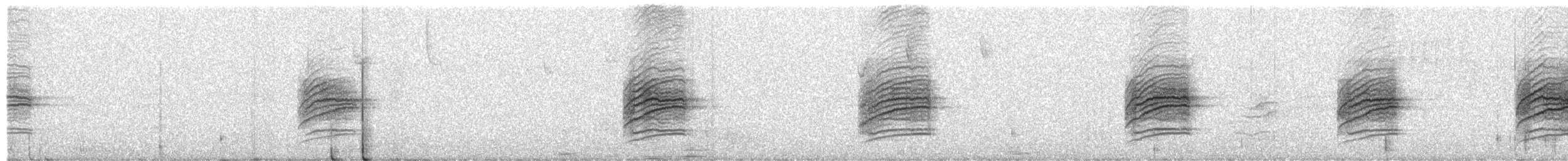 Münzevi Bülbül Ardıcı - ML471065691
