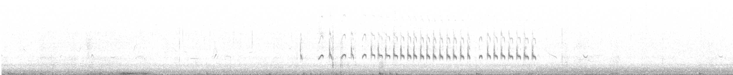 kamenáček pestrý - ML471091641