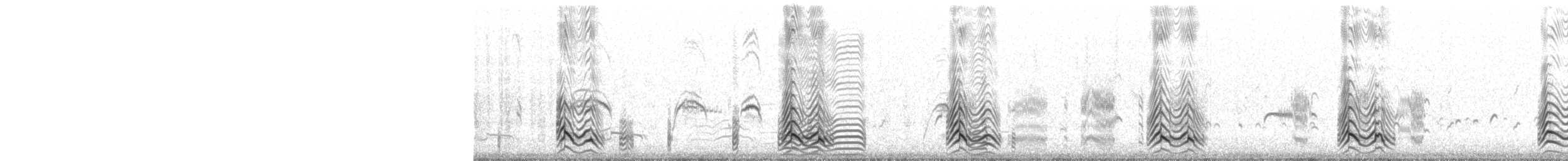 Schmarotzerraubmöwe - ML471091831