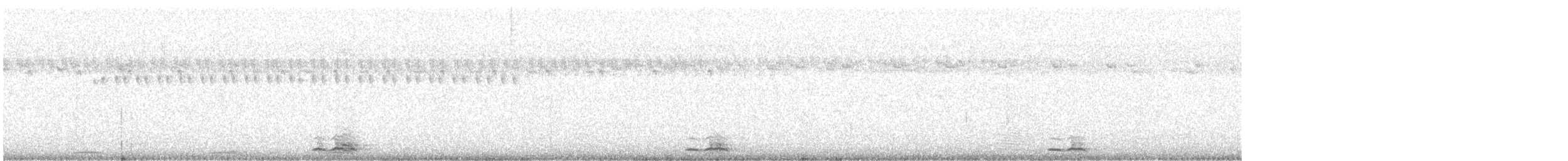 蘭嶼角鴞 - ML471128661