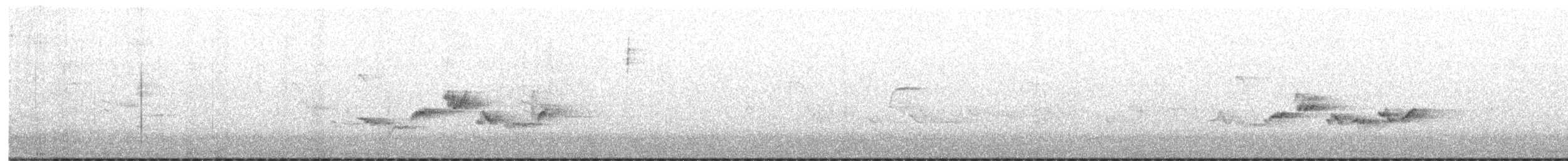 Warbling Vireo - ML471199551