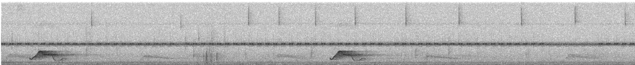Pauraquenachtschwalbe - ML471218521