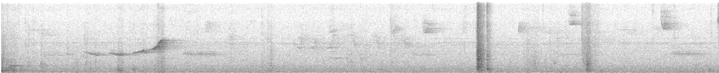 Белогорлая сорокопутовая танагра - ML471266311