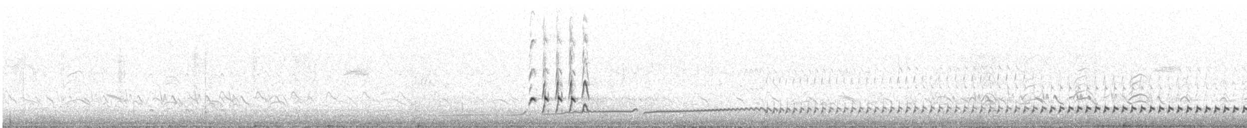 koliha malá - ML471269441