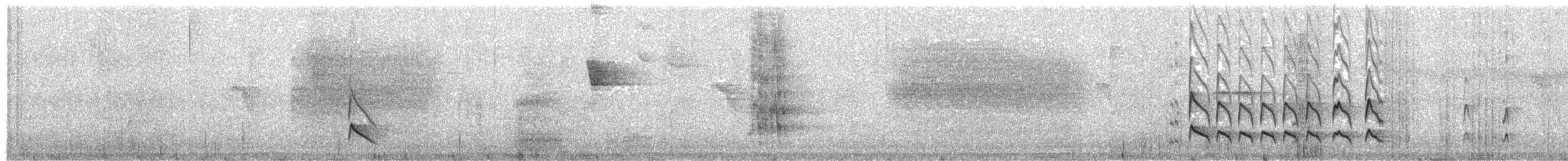 Piprite chaperonné - ML471284961