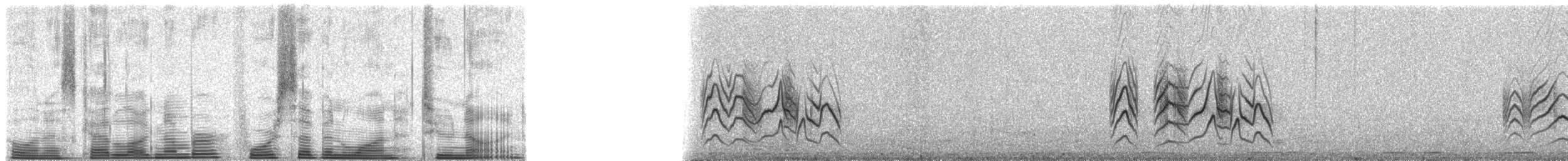 Reichenow's Seedeater - ML47129