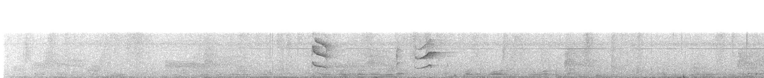 Weißzügel-Dickichtschlüpfer - ML471300911