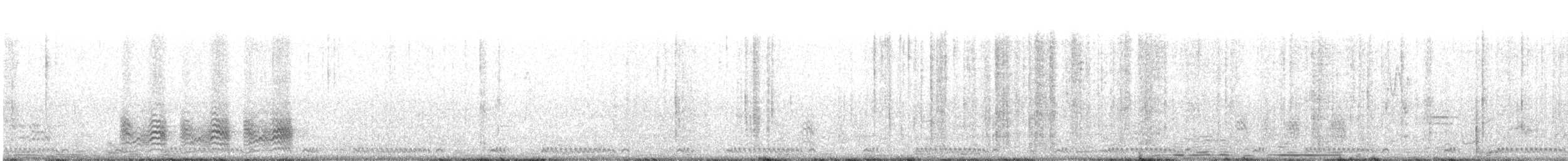 Hildebrandtglanzstar - ML471344291