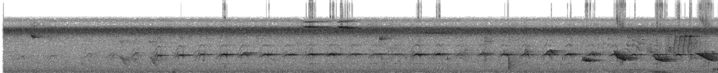 Roadside Hawk - ML471402951