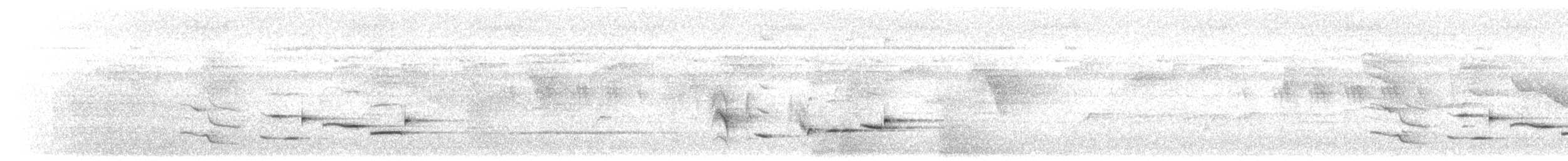 Perlbrust-Fächerschwanz - ML471442931