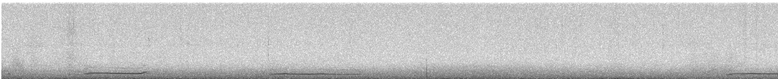 Madeirako braia - ML471443871