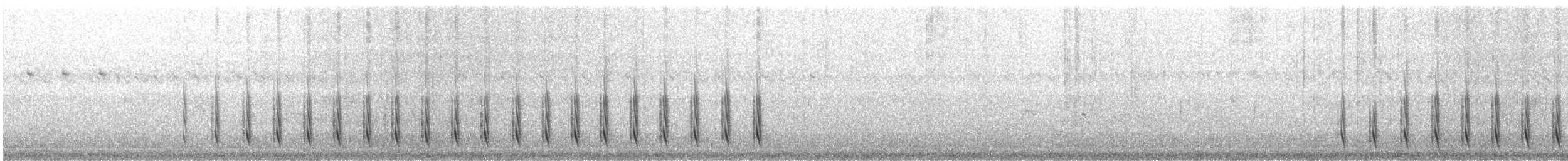 serramaursmett (littoralis) - ML471475811