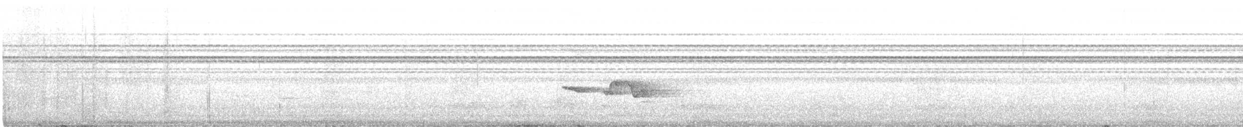 Рувензорская короткохвостка - ML471485011