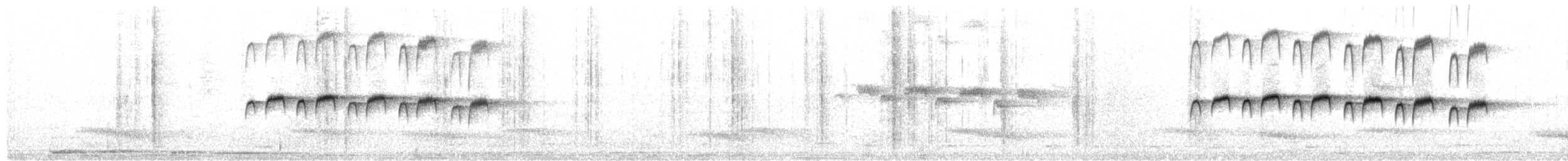 Beyaz Gerdanlı Karıncakuşu - ML471522421