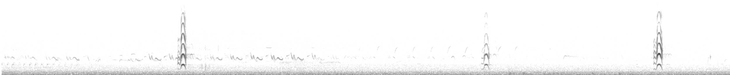 Bar-tailed Godwit - ML471541431