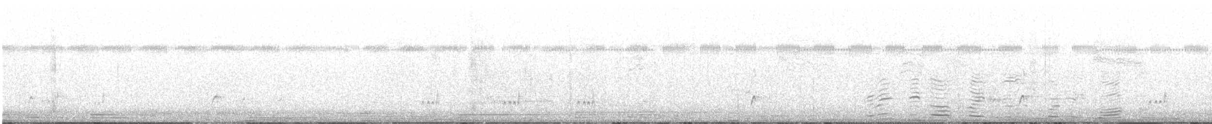 Myiarchus sp. - ML471548461