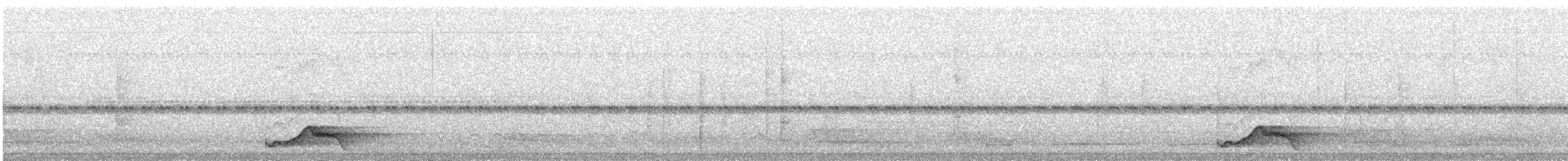 Pauraquenachtschwalbe - ML471561941