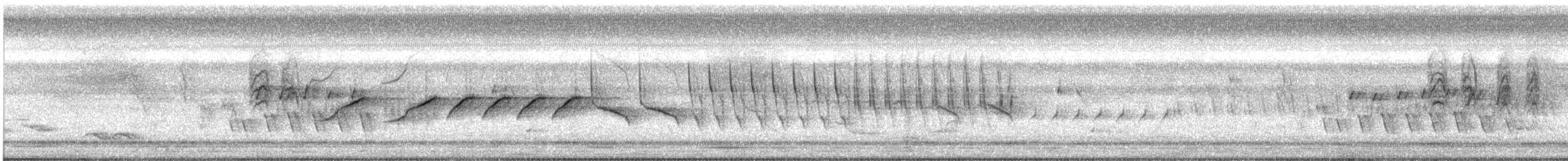 Sporophile de Morelet - ML471564791