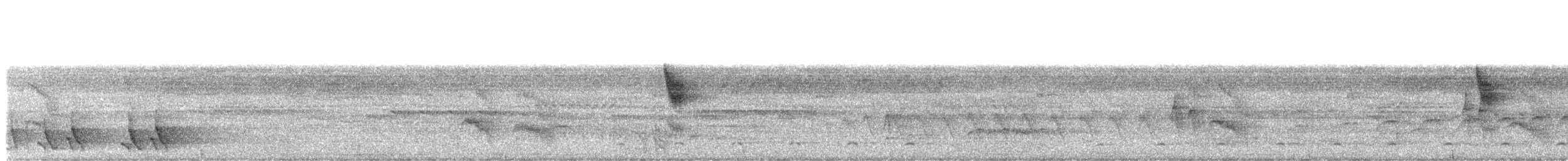 Band-tailed Antbird - ML471589931