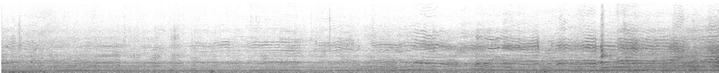 racek tříprstý - ML471590491