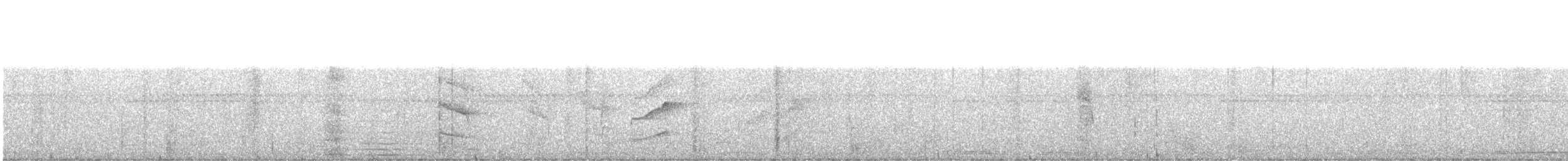 Weißzügel-Dickichtschlüpfer - ML471593601