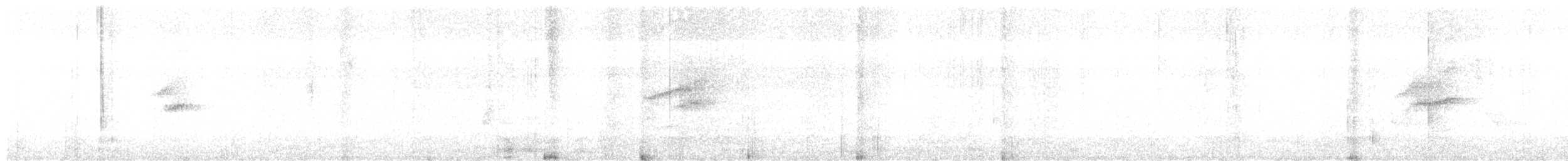 hvitbåndtyrannulett - ML471599011