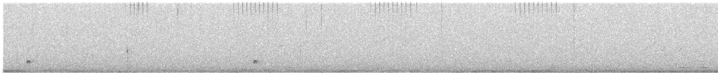 Shear-tailed Gray Tyrant - ML471601751