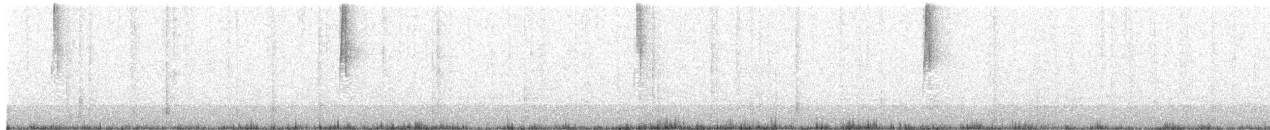 Colibri du Chimborazo - ML471602461
