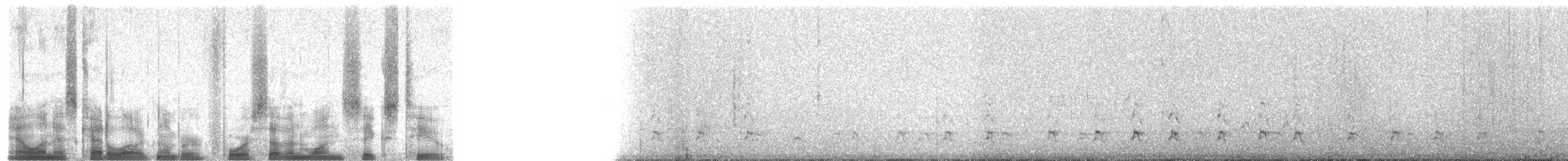 Hemprich's Hornbill - ML47162