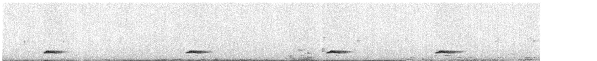 Hooded Tinamou - ML471622121