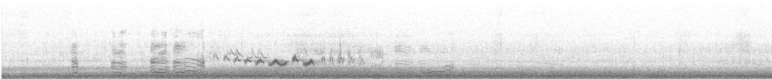 hoholka lední - ML471628271