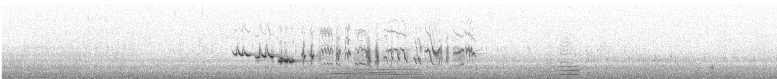 drozd cvrčala - ML471628491