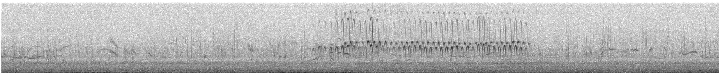 jespák šedý - ML471629201