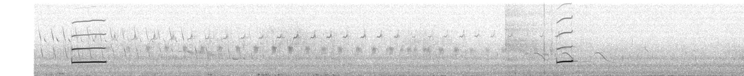 kulík zlatý - ML471629411