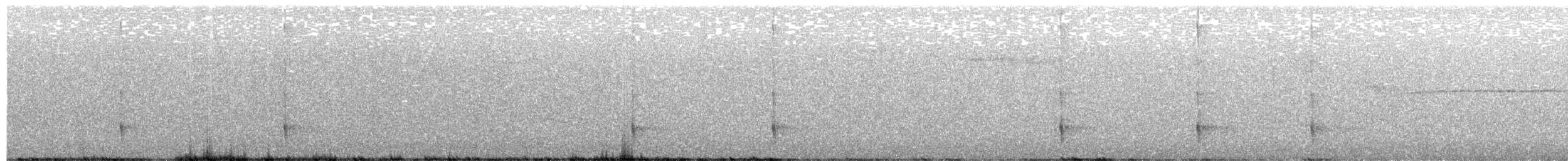 Черноспинный трёхпалый дятел - ML471655731