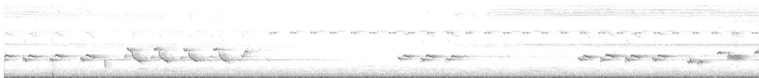 Пересмішник карибський - ML471685321
